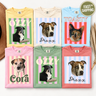 Personalized Candy Stripe Pet Portrait Tee – 4 Designs, Custom Name & Photo