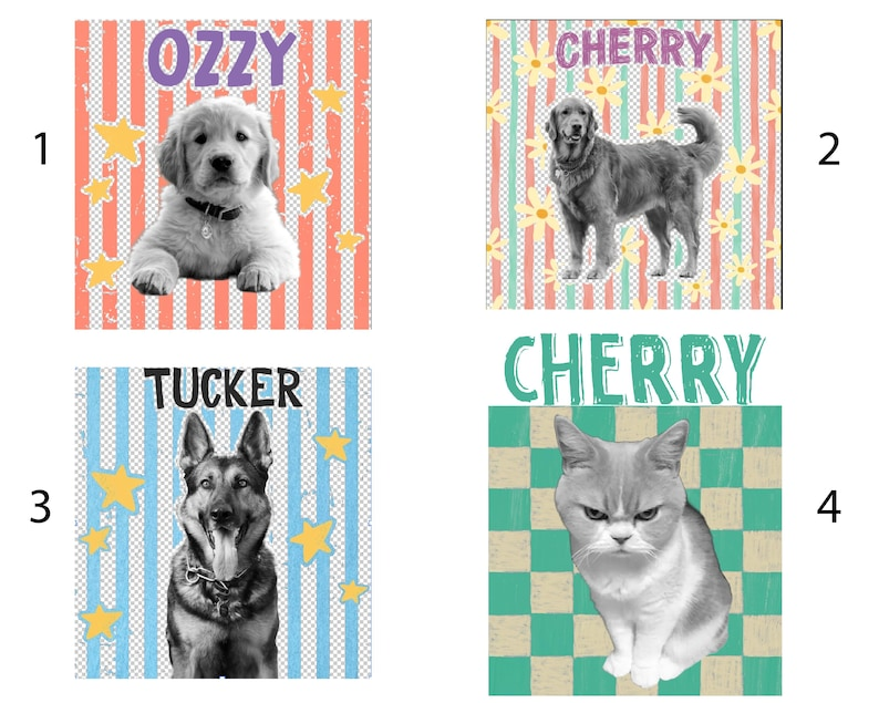 Personalized Pastel Star Pet Portrait Tee – Custom Name & Photo example 3