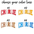 Personalized Gingham Varsity Pet Portrait Tee – Custom Name & Photo example 2