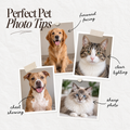 Personalized Pet Portrait – Custom Watercolor Dog & Cat Poster – image 8