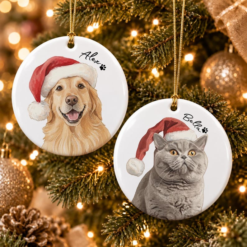 Personalized Santa Hat Pet Ornament – Custom Photo, Name & Color Gift